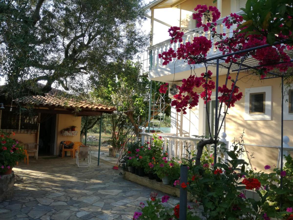 Aparthotel Casa Dyonisia Tsilivi à Plános Extérieur photo