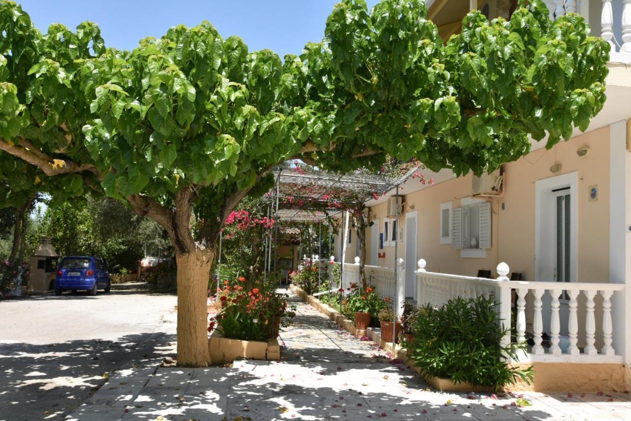 Aparthotel Casa Dyonisia Tsilivi à Plános Extérieur photo