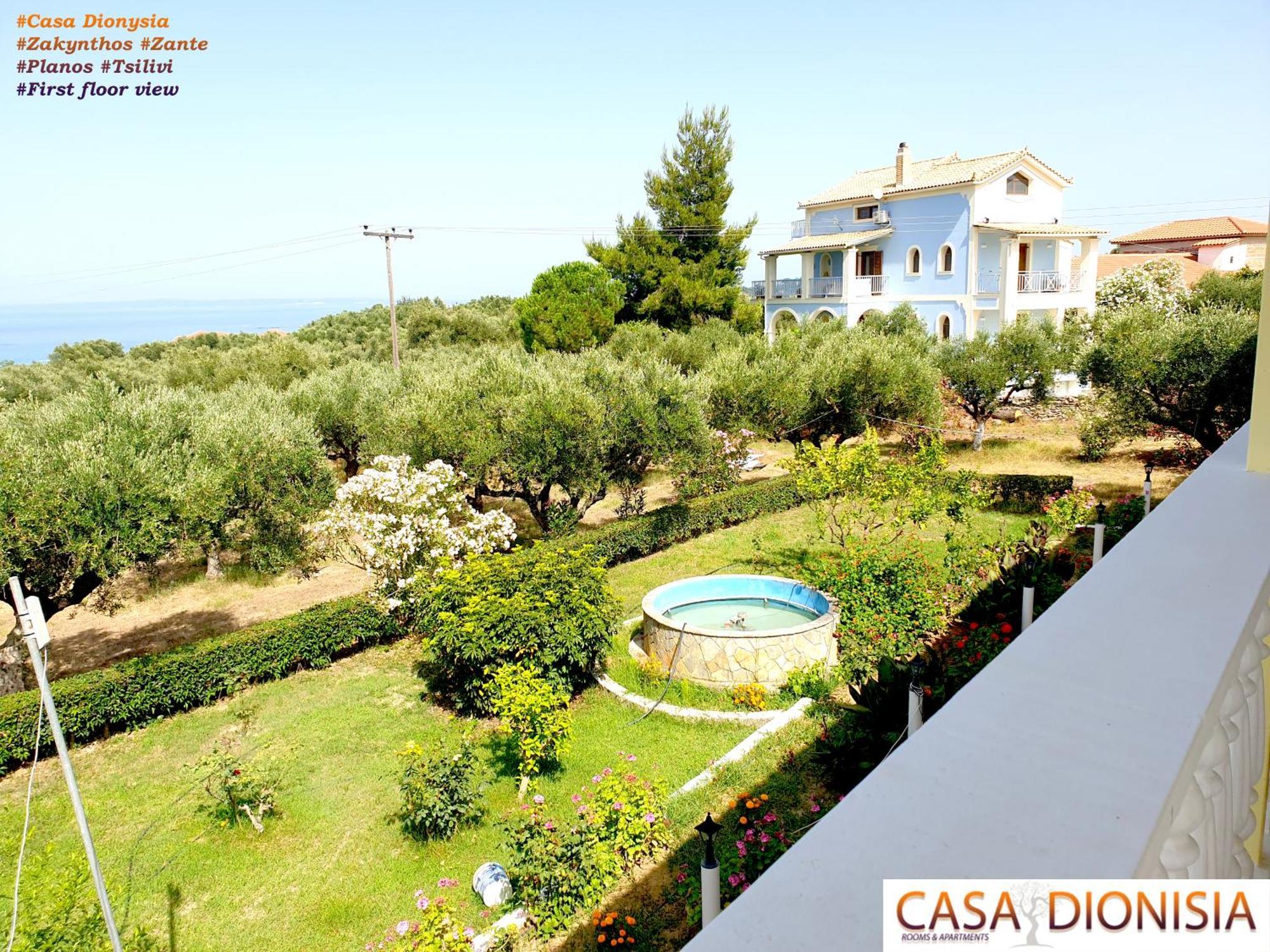 Aparthotel Casa Dyonisia Tsilivi à Plános Extérieur photo